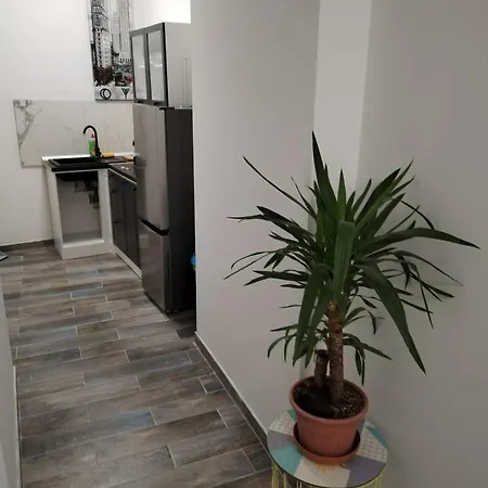 Garden In The Center Apartment Split Room photo